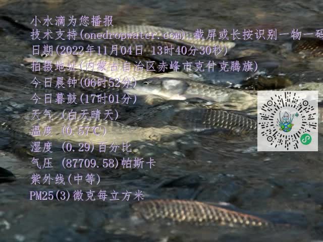 0.mp4