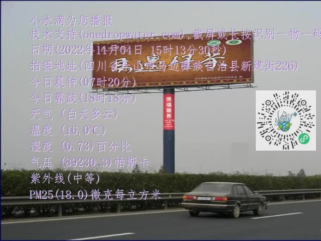 0.mp4