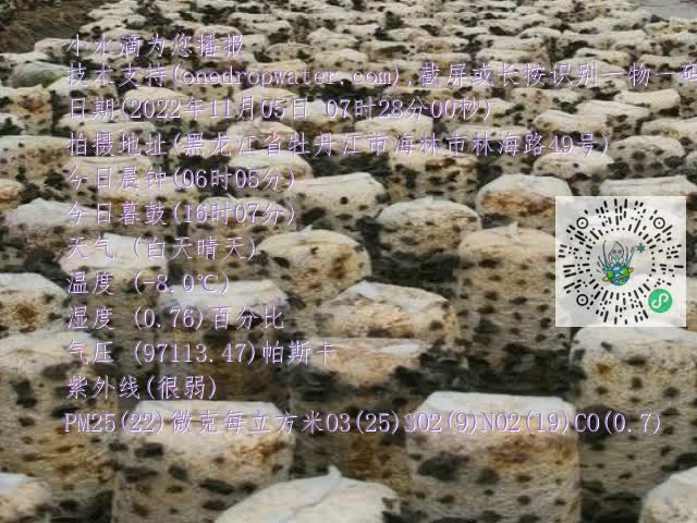 0.mp4