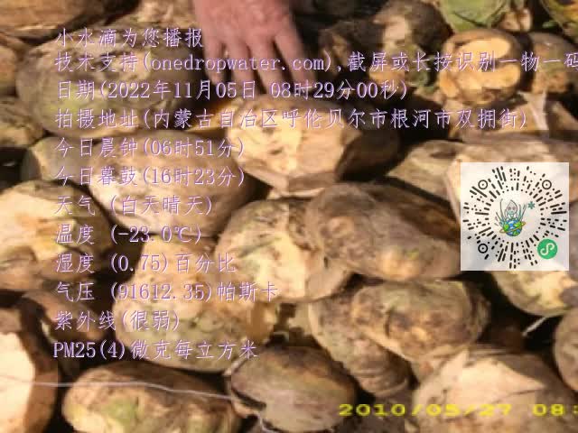 0.mp4