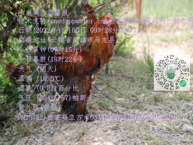 0.mp4