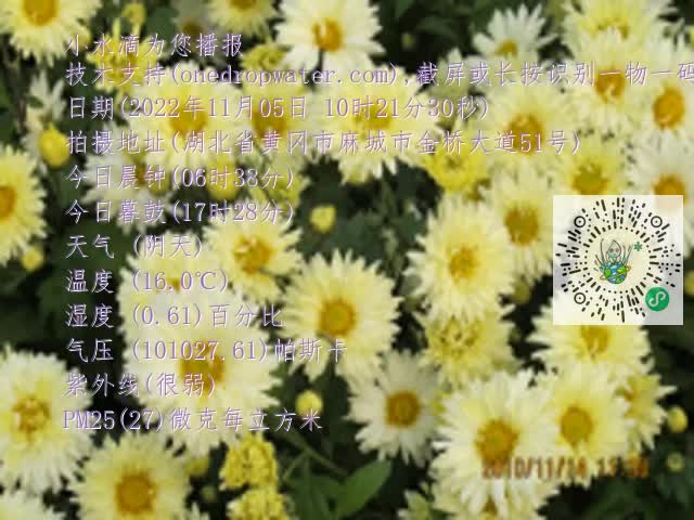 0.mp4