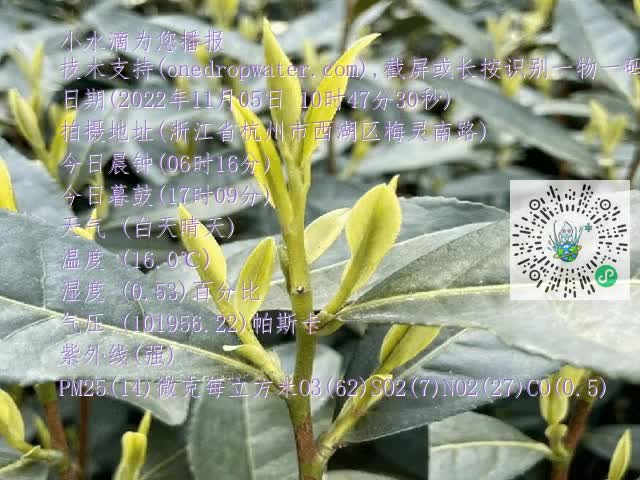 bcb53627134d4c6267f5e8555c504d40.mp4