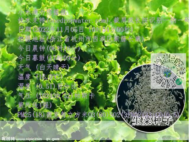 8bf87a48d095cf7944be3ea9e09ea14d.mp4