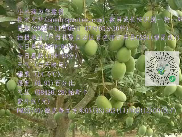 8ef11e115cff7ad3080e45ead4504c5b.mp4