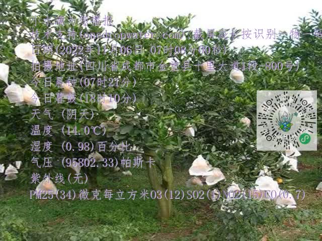 cbf8153904b560875ce45f0c0f7c89b0.mp4