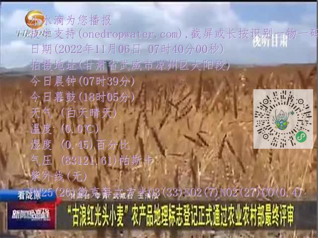 0.mp4