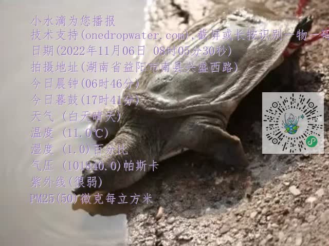 0.mp4