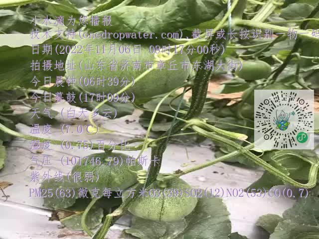 0.mp4