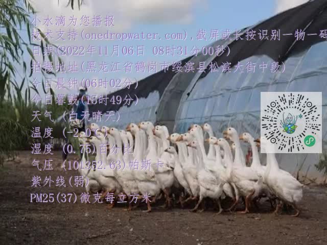 0.mp4