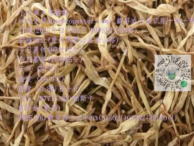 0.mp4