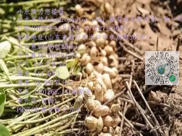 0.mp4