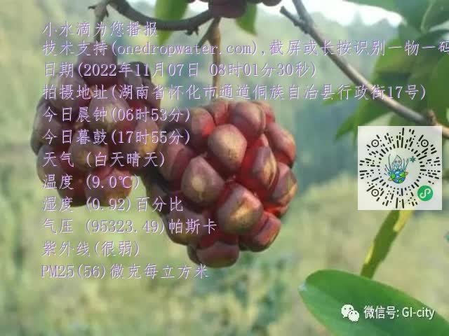 0.mp4