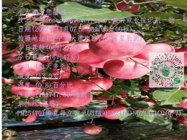0.mp4