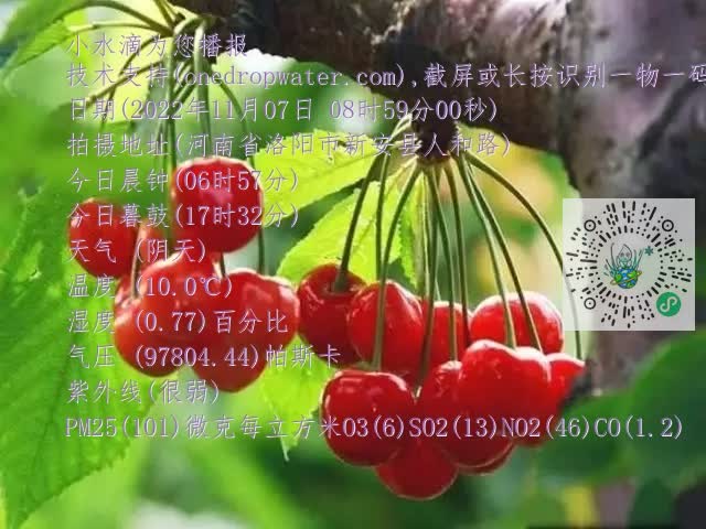 0.mp4