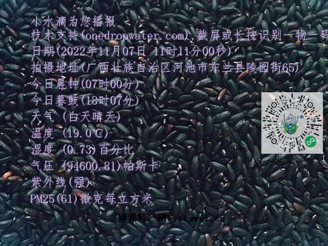 0.mp4
