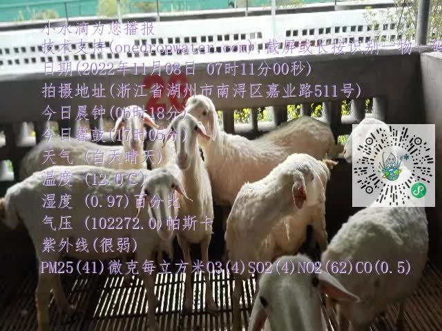 0.mp4