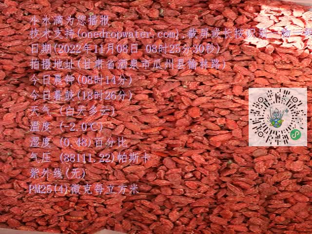0.mp4