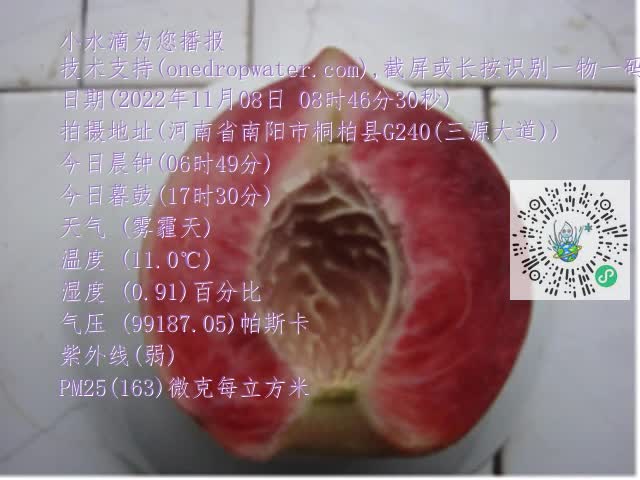 0.mp4