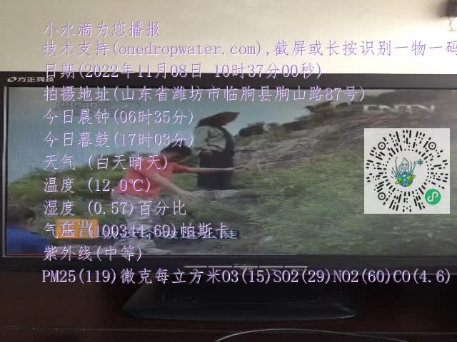 0.mp4