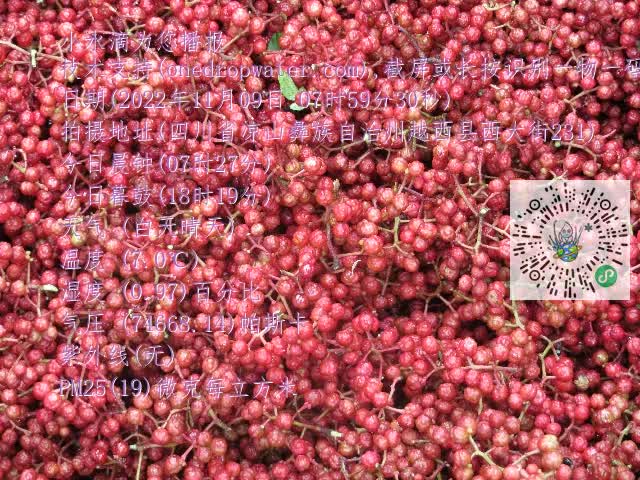 0.mp4