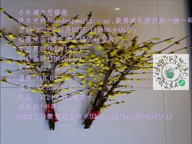 0.mp4