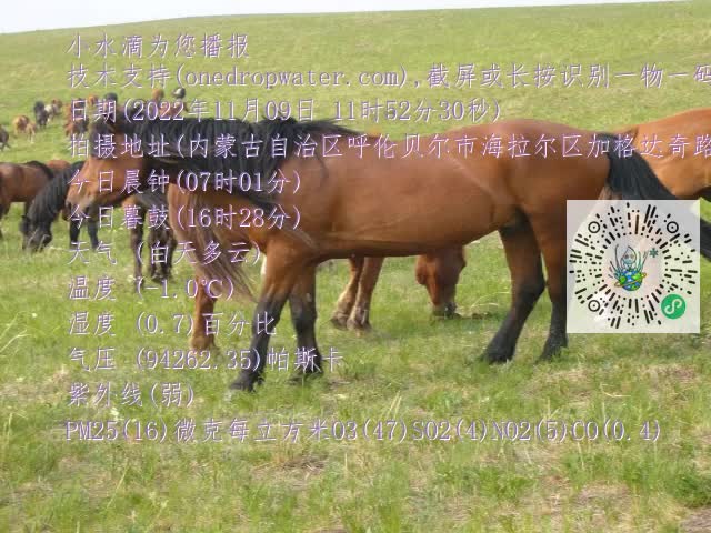 0.mp4