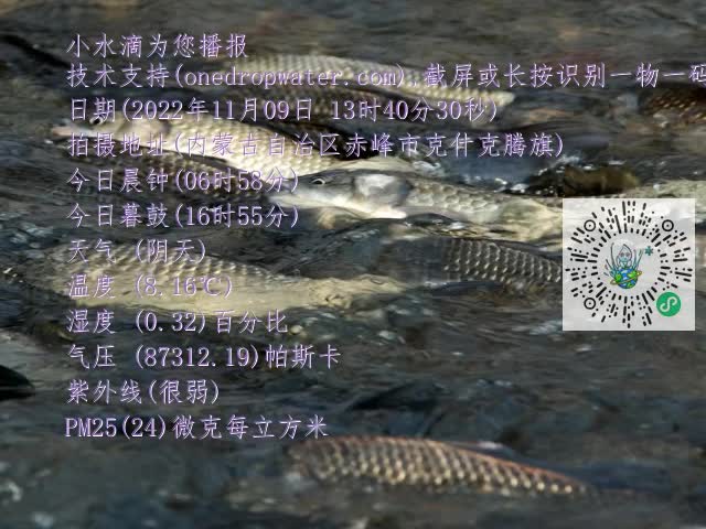 0.mp4
