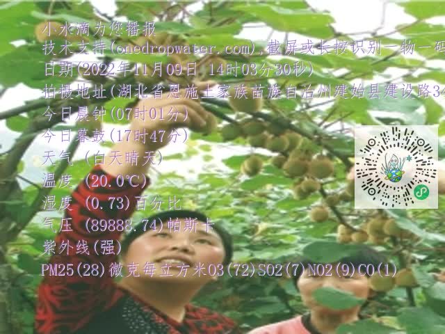 0.mp4