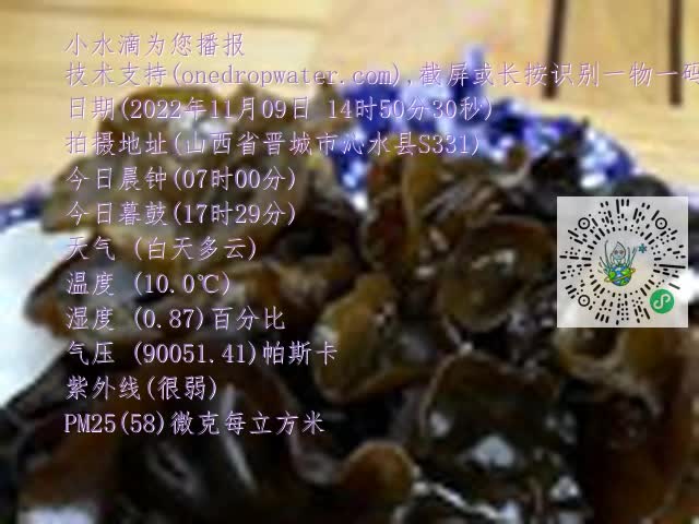 0.mp4