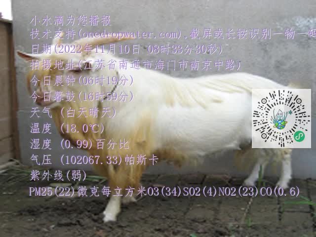 0.mp4