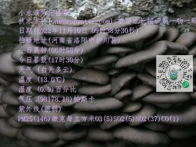 0.mp4
