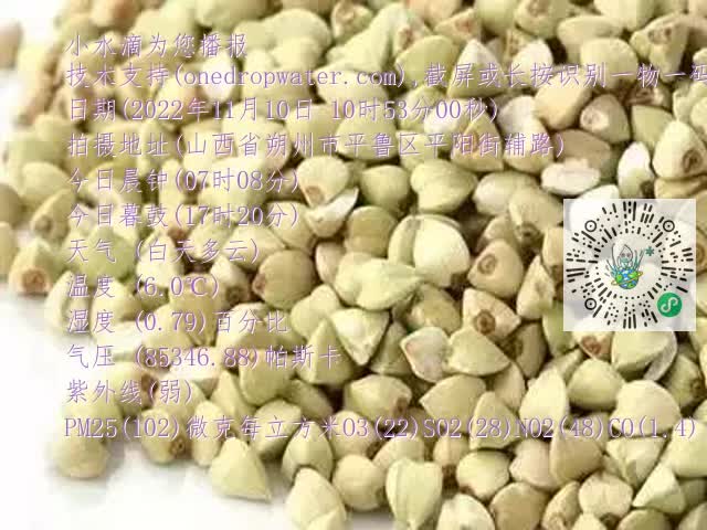 0.mp4