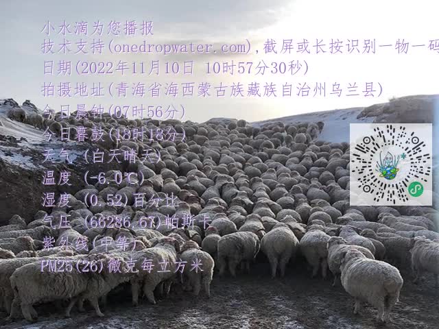 20a37bd5021d21591bac0a734073c578.mp4