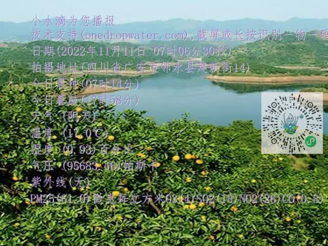 710dd9a2bbdcc7f599e8cf216ccee0a4.mp4