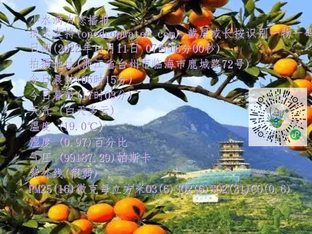 1a98b0e9310aeb7b9a15ce7d709438f7.mp4
