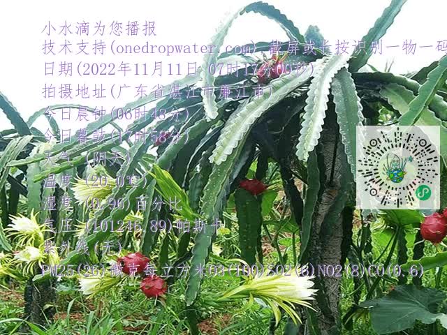 7e9a1e27ad1aa5fc3bd75c59ea50888e.mp4