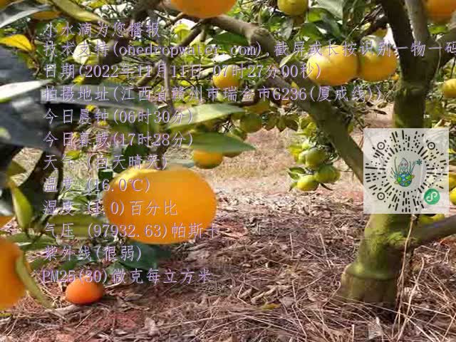 b9799b70a0fb44602c39408f71633394.mp4