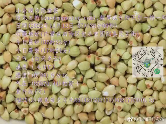 0.mp4