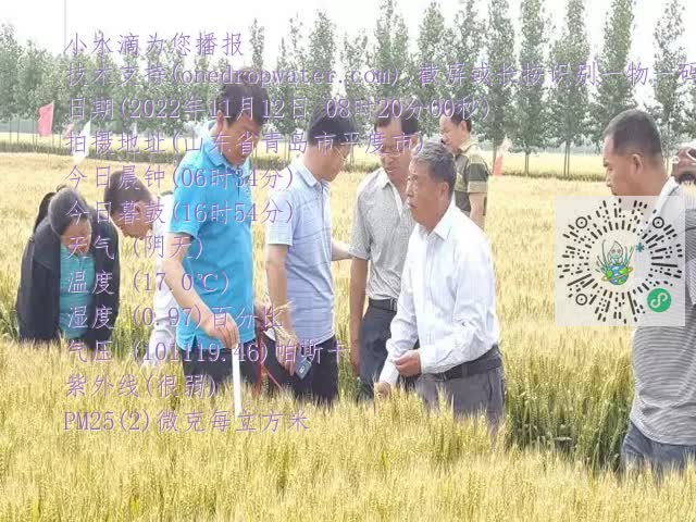 0.mp4
