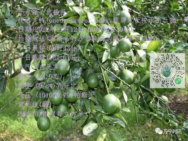 c4c0984f6b052c4d171b23f95c09463c.mp4