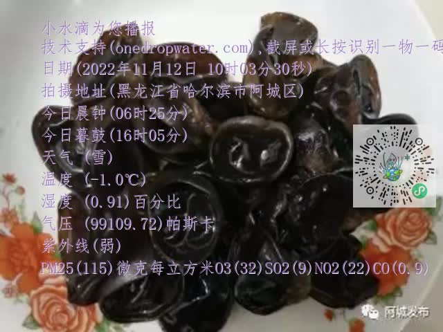 0.mp4