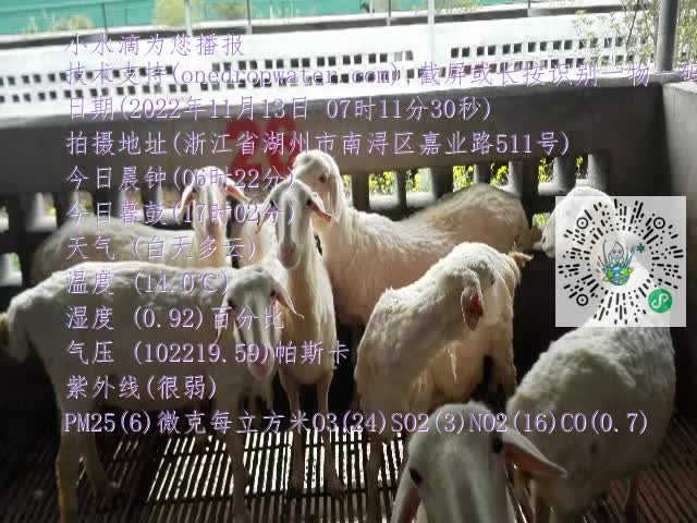 0.mp4