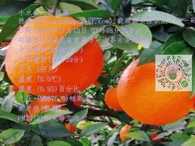 be6d6a0cd548b518276e5b2463864dbc.mp4