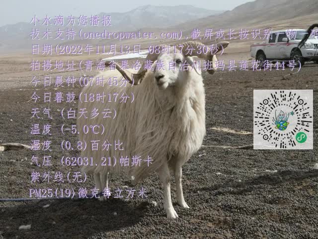 0.mp4