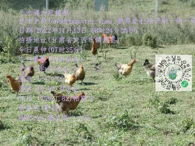 0.mp4