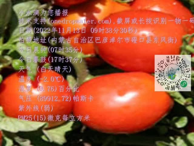 0.mp4