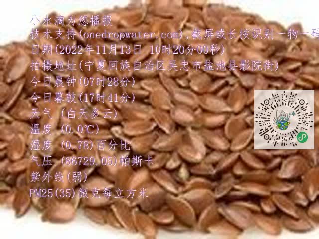 0.mp4