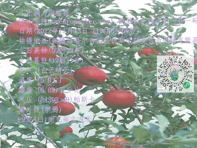 0.mp4