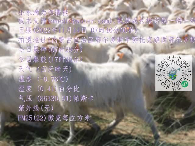 0.mp4